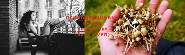 мдма Дмитровск